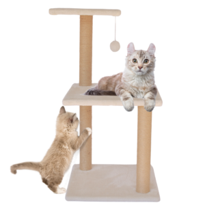 CATZY D | Poste Alto Rascador para Gato 70 cm + 2 Repisas + Juguete Pelota de Felpa