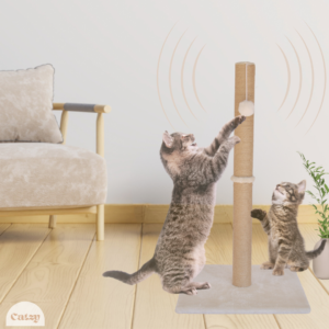 Rascadores y Juguetes para Gatos
