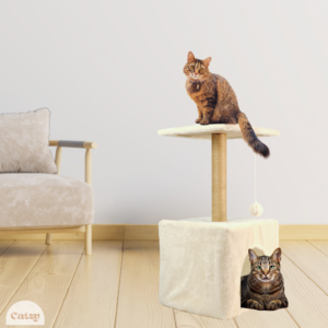 Casas, Camas y Hamacas para Gatos