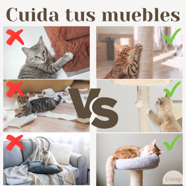 CATZY C | Árbol Rascador Torre Condominio para Gato, 2 Casas + Cama Colgante + Hamaca + Cuerda + 2 Repisas + 2 Camas Acolchonadas + 4 Postes Rascadores + 2 Juguetes Pelotas de Felpa - Image 8