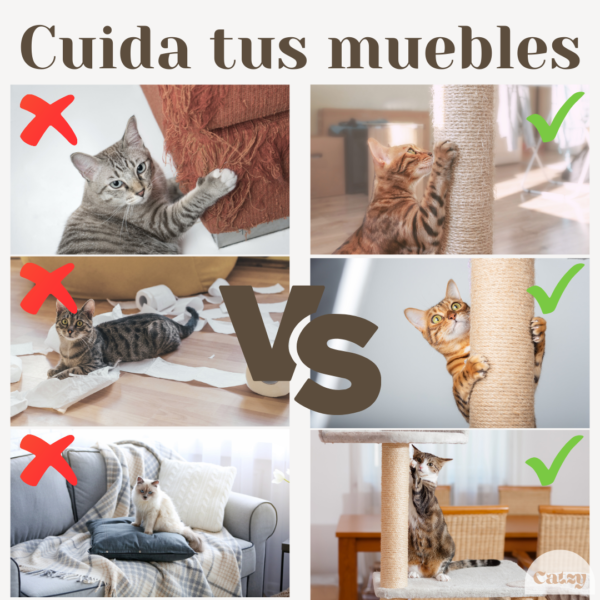 CATZY F | Casa para Gato + Poste Rascador + Cama Balcón + Juguete Pelota de Felpa - Image 9
