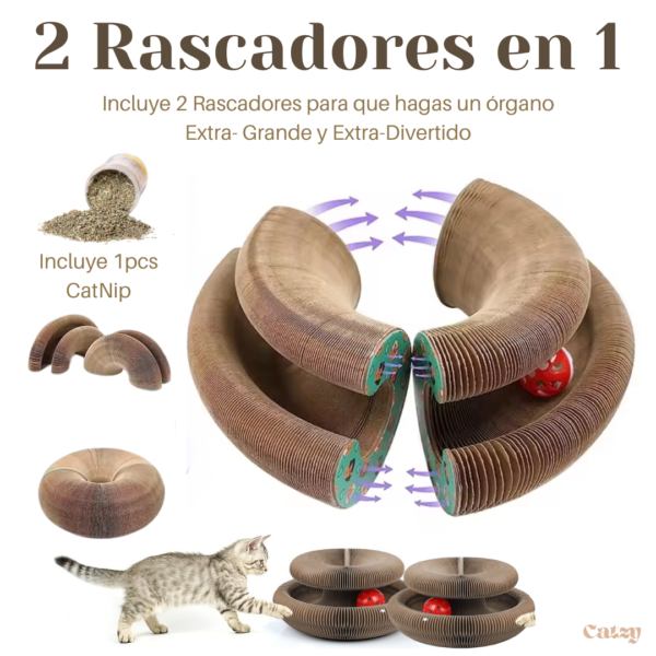 Catzy J Organo Magnetico 2 Gusanos Juguete Rascador Magico para Gato Catnip - Image 3