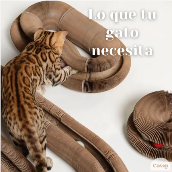 Catzy J Organo Magnetico 2 Gusanos Juguete Rascador Magico para Gato Catnip - Image 5