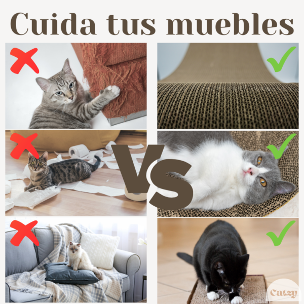 Catzy I Tabla Rascadora en Escuadra L de 70 cm Juguete Rascador para Gato Catnip - Image 7